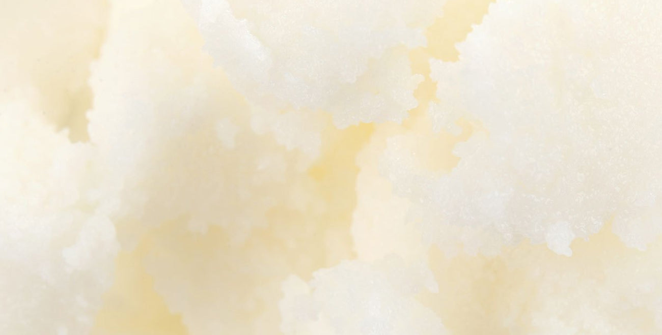 Cupuacu Seed Butter