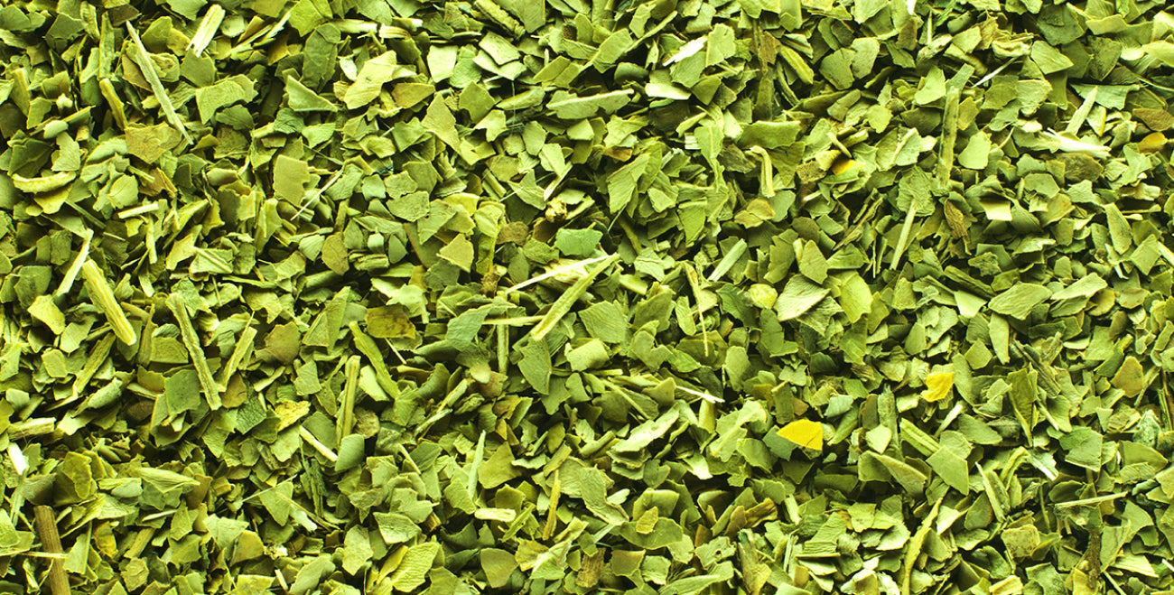 Green Tea Leaf Extract