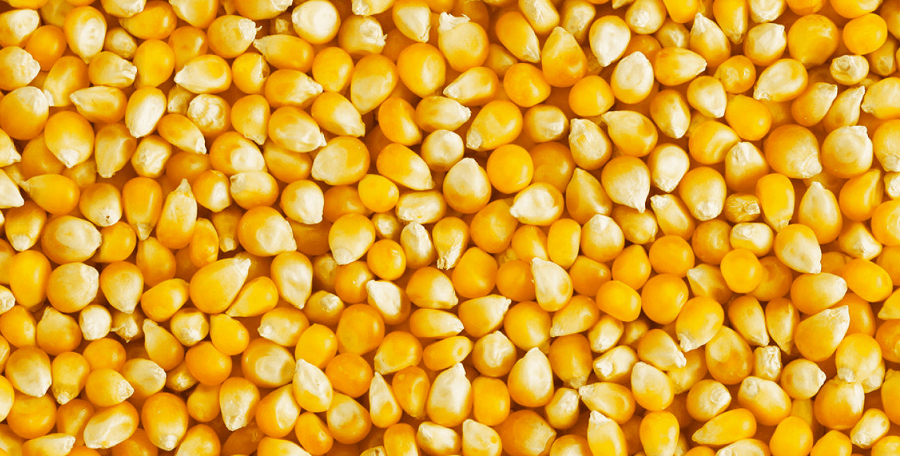 Hydrolyzed Corn Protein