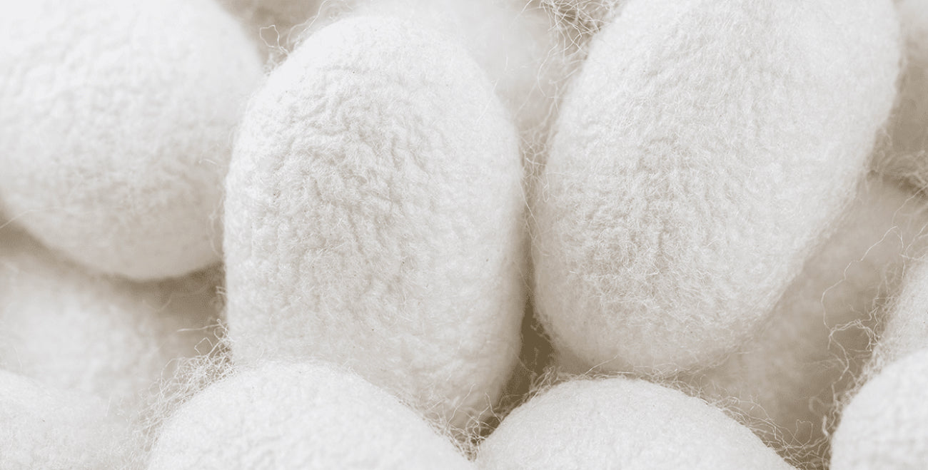 Hydrolyzed Silk