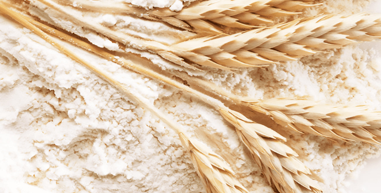 Hydrolyzed Wheat Protein