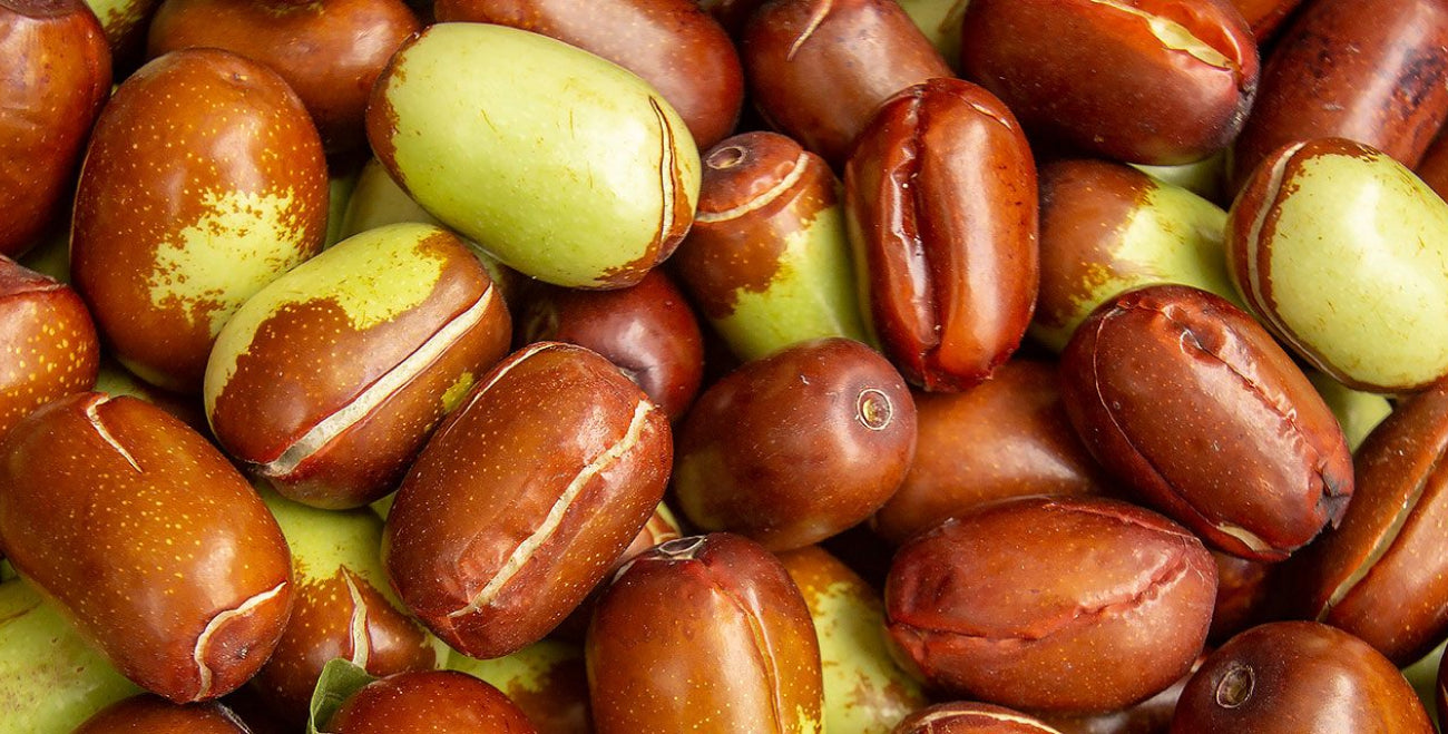 Jojoba Seed Oil