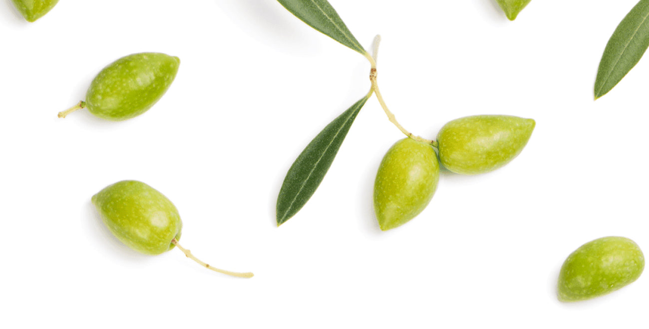 Olive Leaf Extract