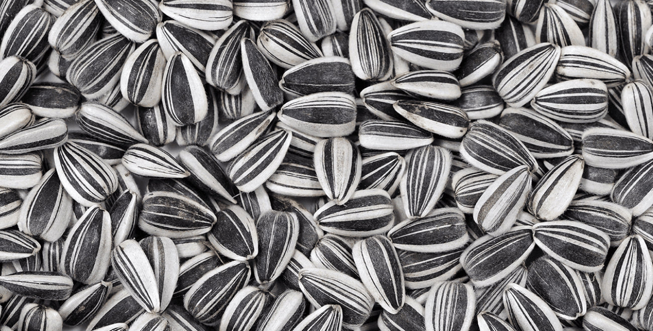 Sunflower Seed Extract