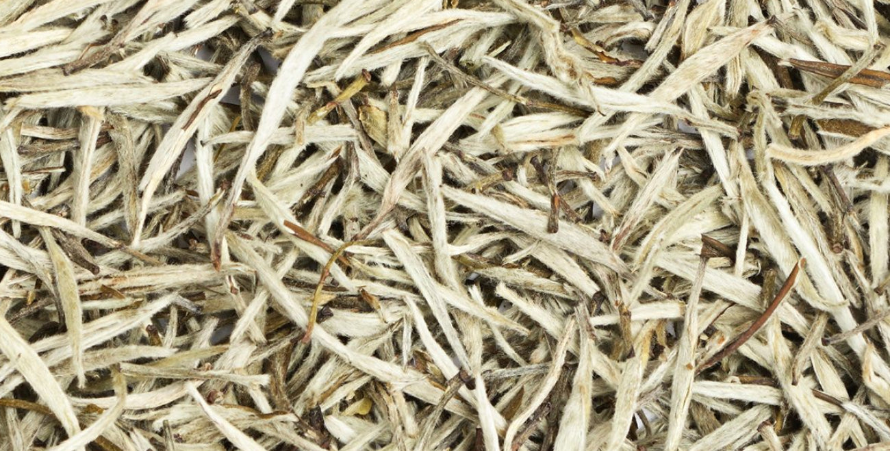 White Tea Extract